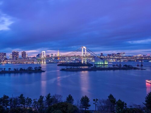 Гостиница Hilton Tokyo Odaiba в Токио