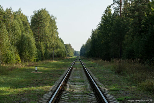 Непассажирская станция станция Клястица, Псковская область, фото