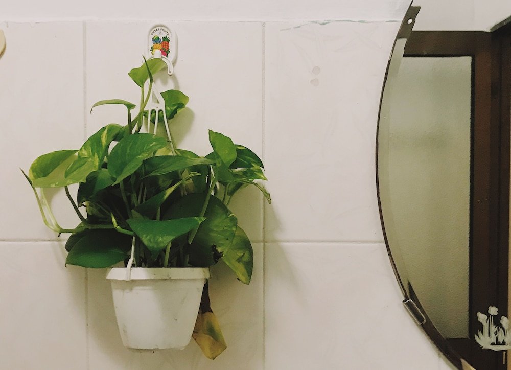 Фото Condodo Homestay