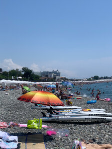 Пляж Сочи Парк Отель, Краснодарский край, фото