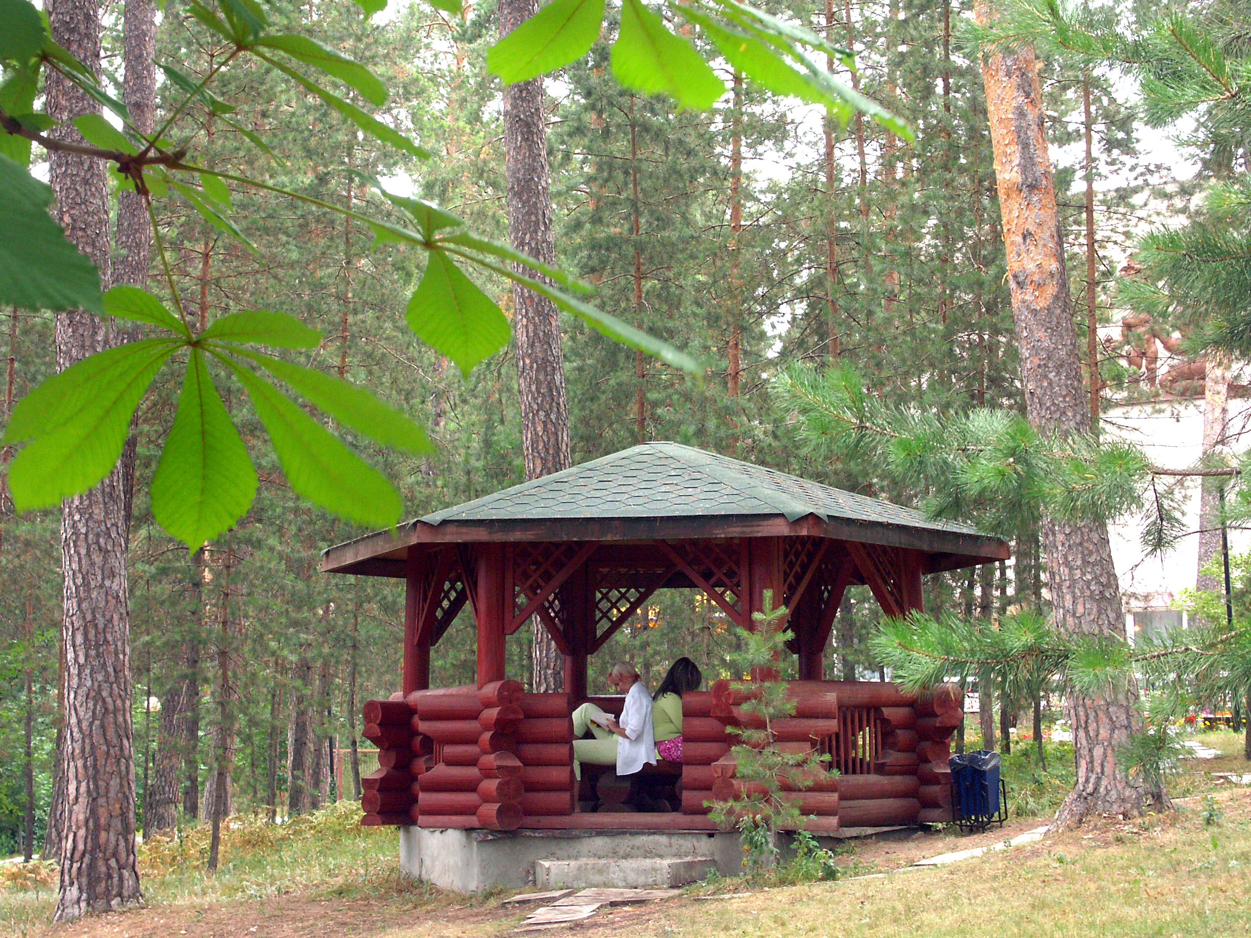 Фото Надежда