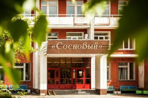 Иное жильё Сосновый в Ижевске