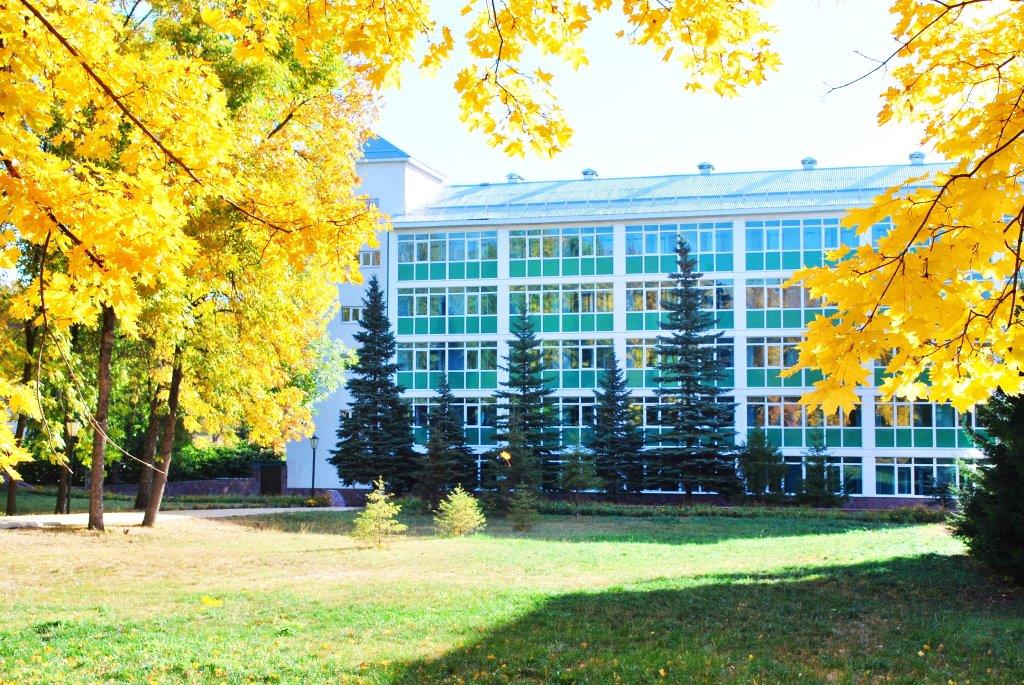 Фото Зеленая роща