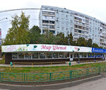 Mir tsvetov (Novo-Vokzalnaya Street, 201Б), flower shop