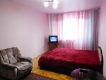 Standart Yanvar' Apartments (9 Yanvarya Street, 177), alojamiento en alquiler diario