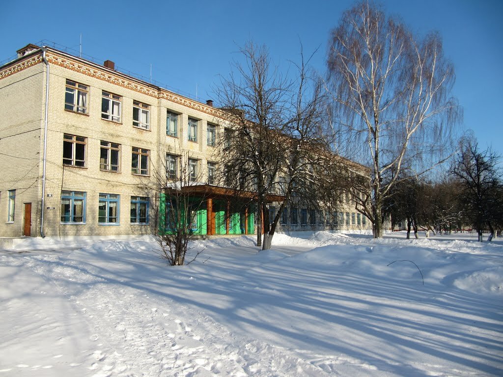 School Красногорская средняя общеобразовательная школа № 1, Bryansk Oblast, photo