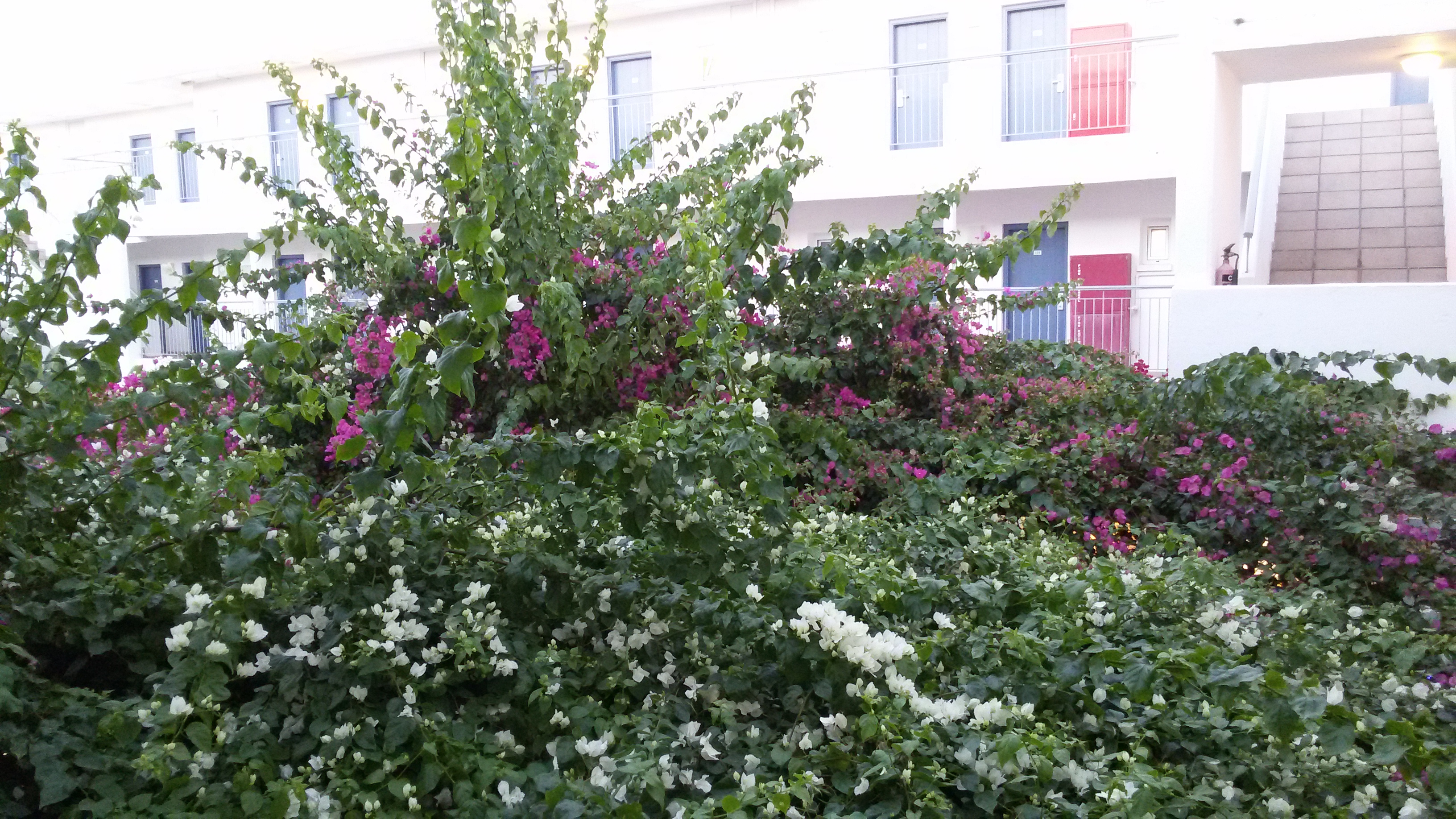 Фото Nissi Park Hotel