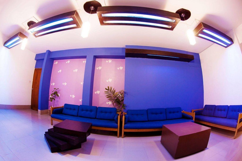 Фото Tropical Daisy