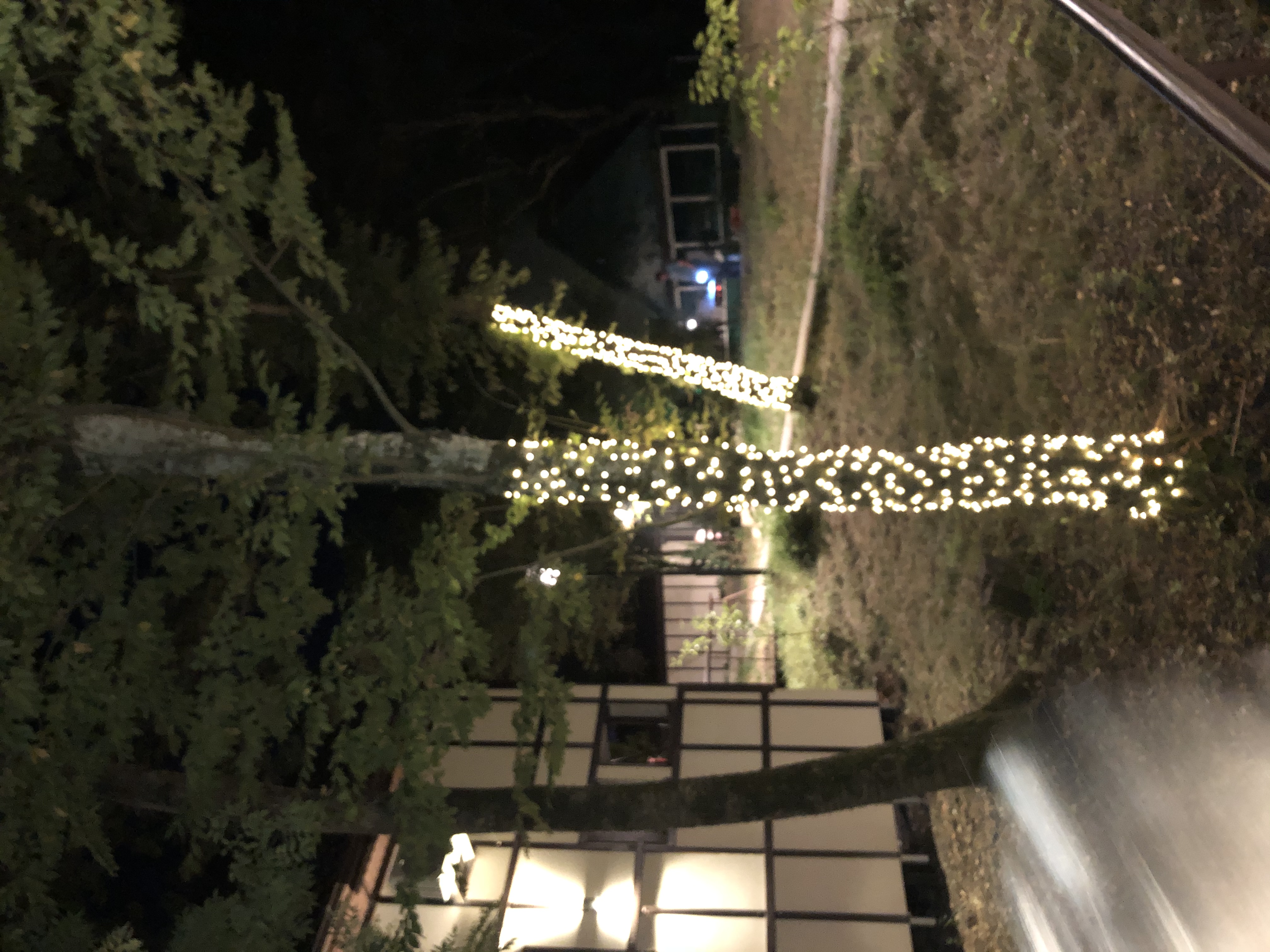 Фото Дельфин Холидей Парк Инал