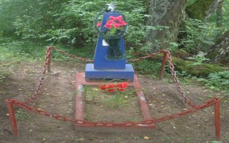 Monument, memorial Могила неизвестного советского летчика, погибшего в 1941 г., Grodno District, photo