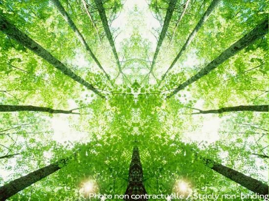 Фото Ibis Sallanches Porte du Mont Blanc