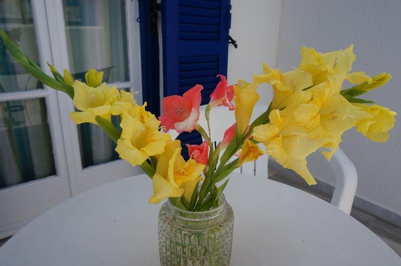 Фото Adonis Hotel Naxos