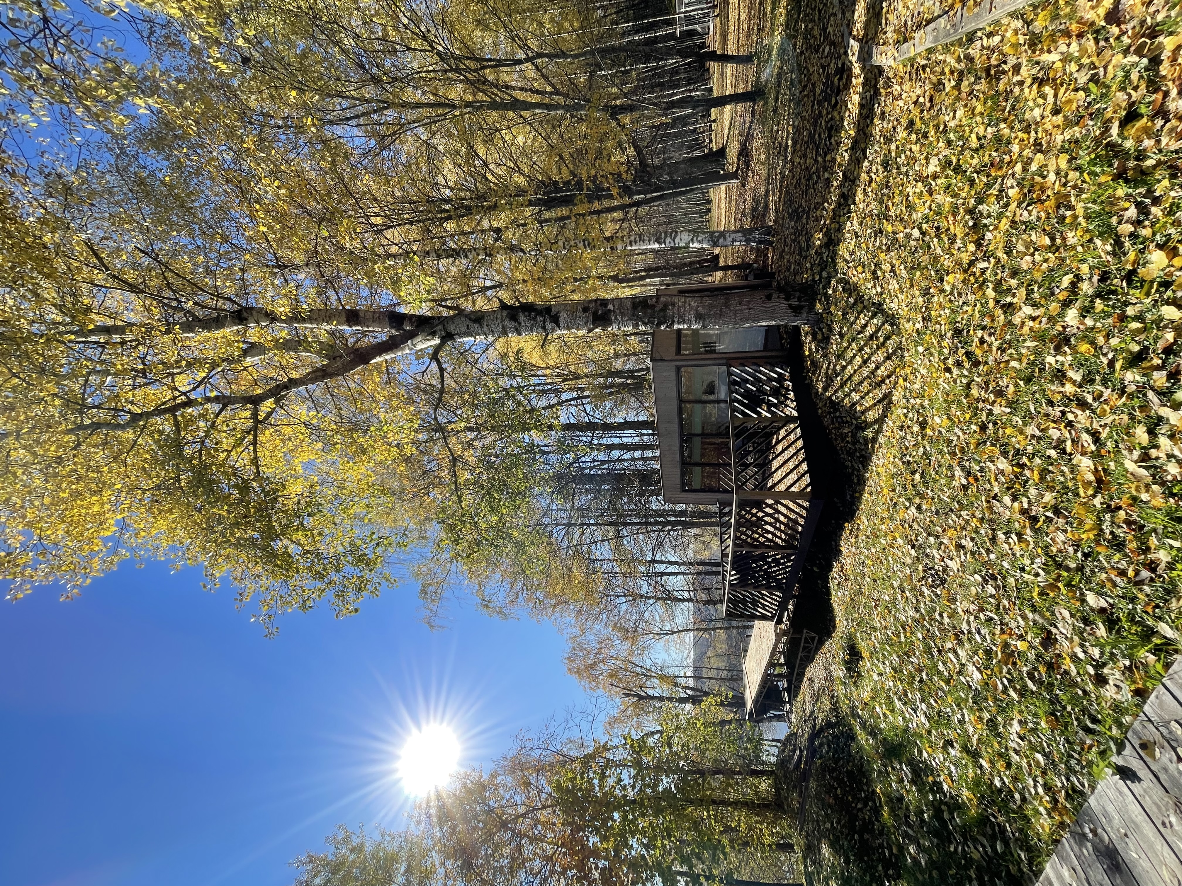 Фото Барская Усадьба