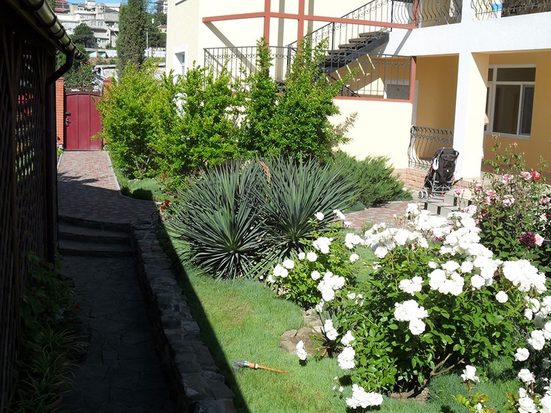 Фото Акварель