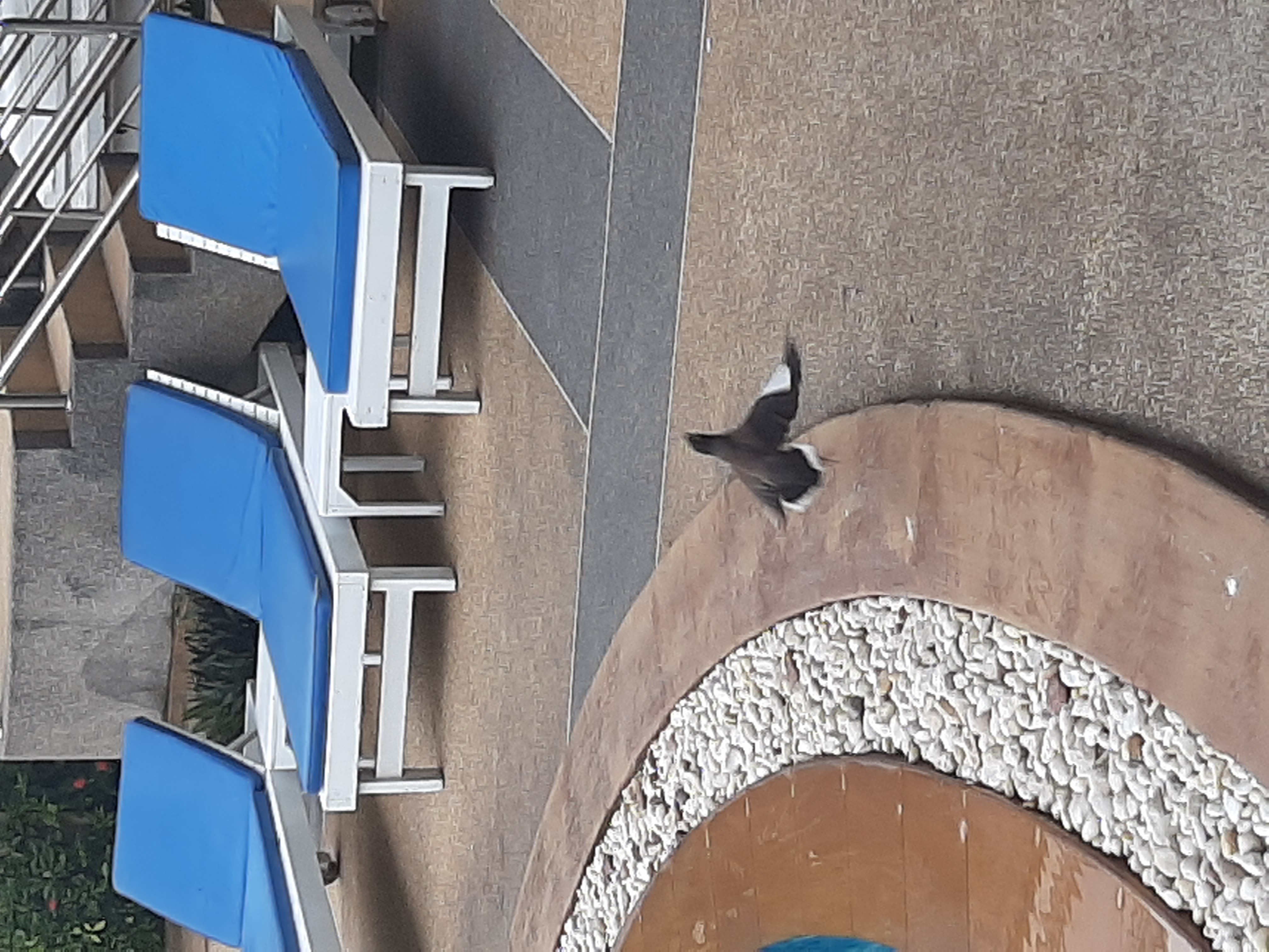 Фото Camelot Hotel Pattaya