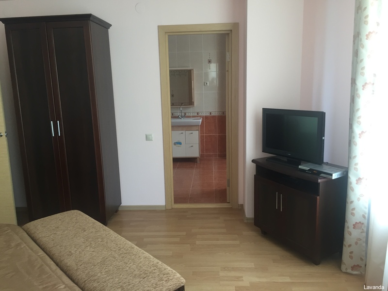 Фото Лаванда