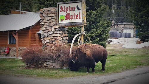 Гостиница Alpine Motel