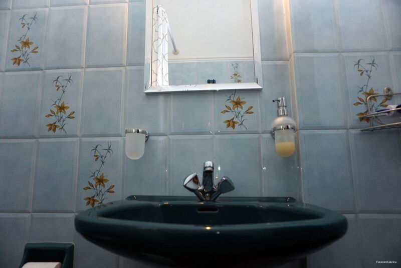 Фото Pansion Thanos