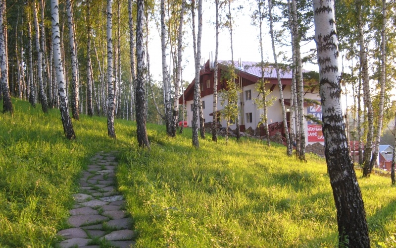 Фото 33 Медведя