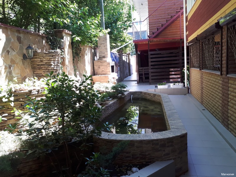 Фото Магнолия