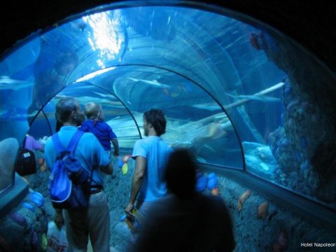 Фото Hotel Napoleon