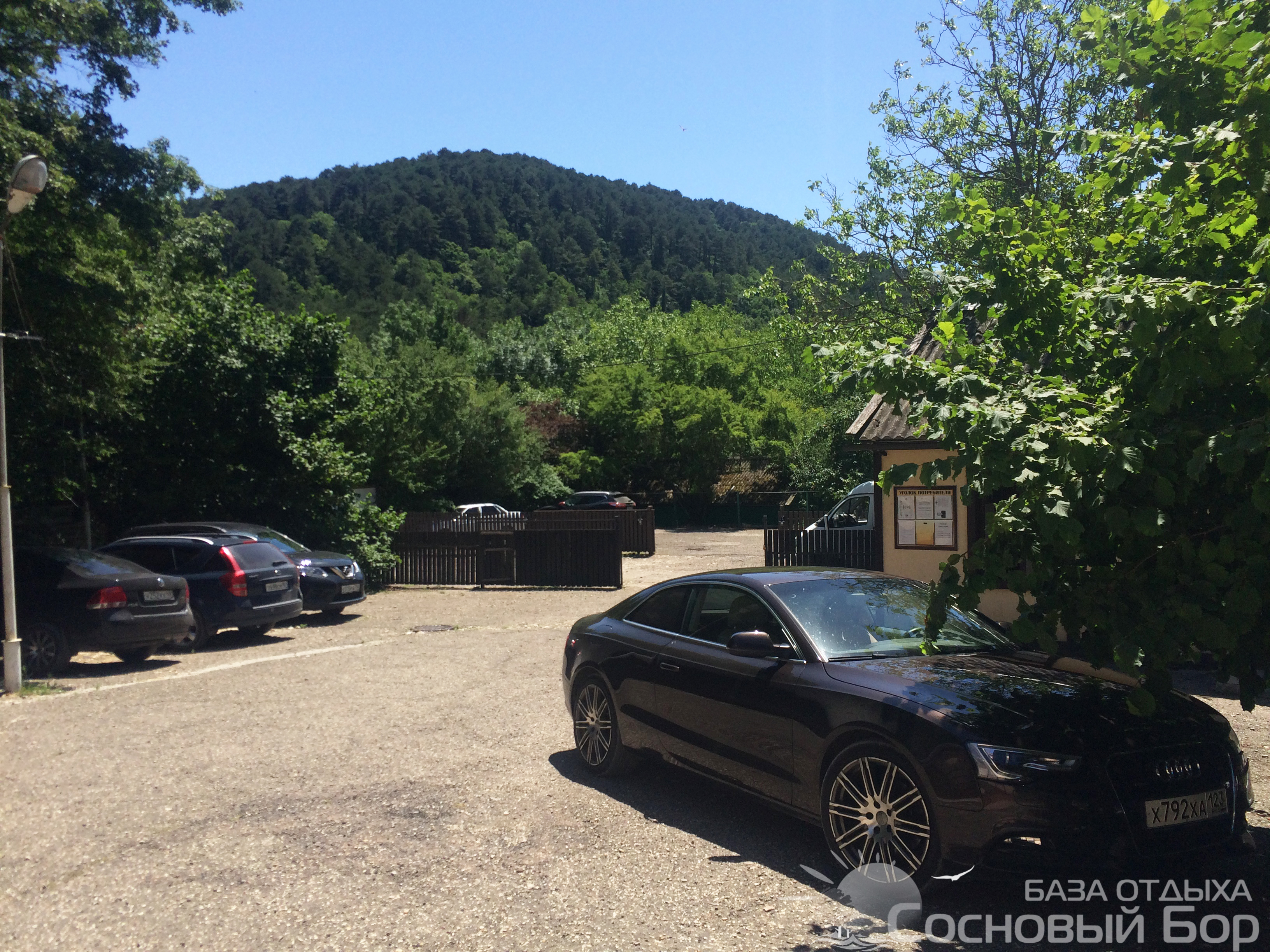 Фото Сосновый Бор