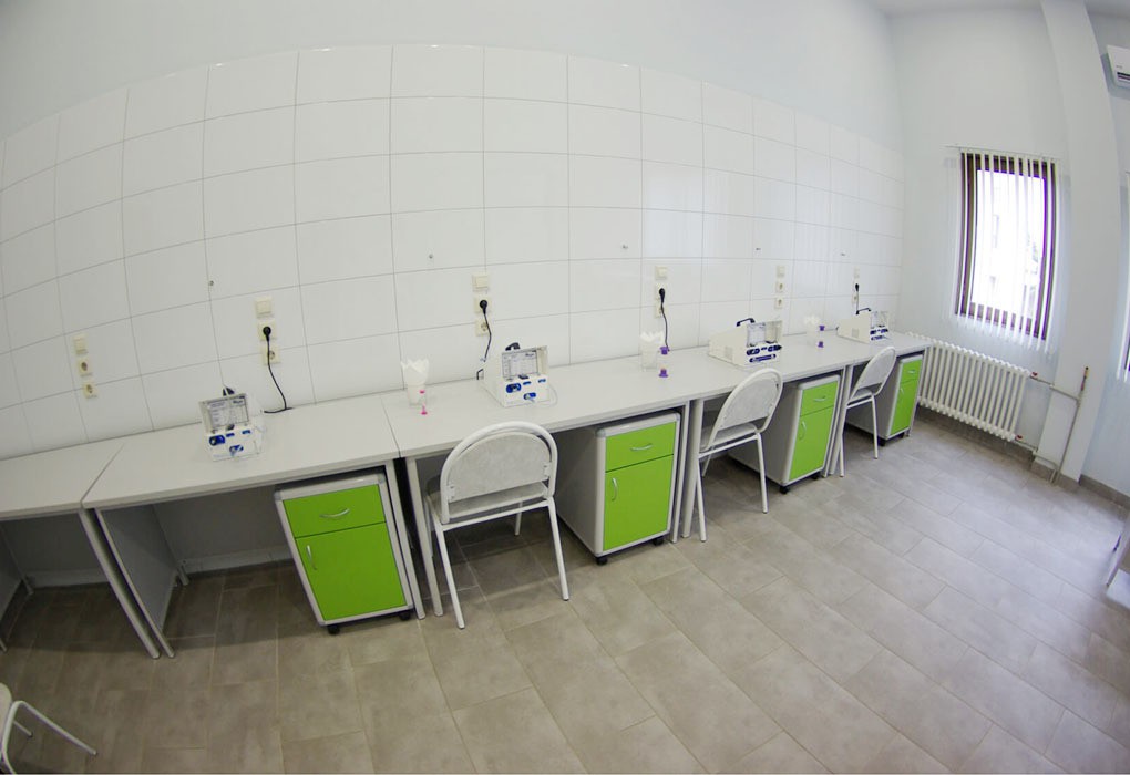 Фото Самшитовая роща