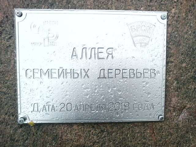 Memorial plaque, foundation stone Памятный знак Аллеи семейных деревьев БРСМ, Minsk, photo