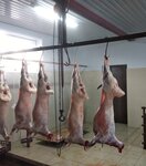Овцеводческое хозяйство (д. Афанасьево, 1), мясная продукция оптом во Владимирской области