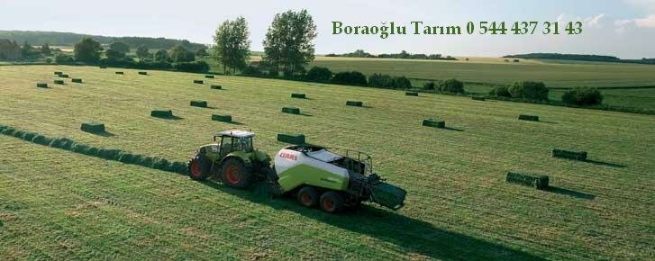 Fodder and feed additives Boraoglu Agriculture, Aksaray, photo