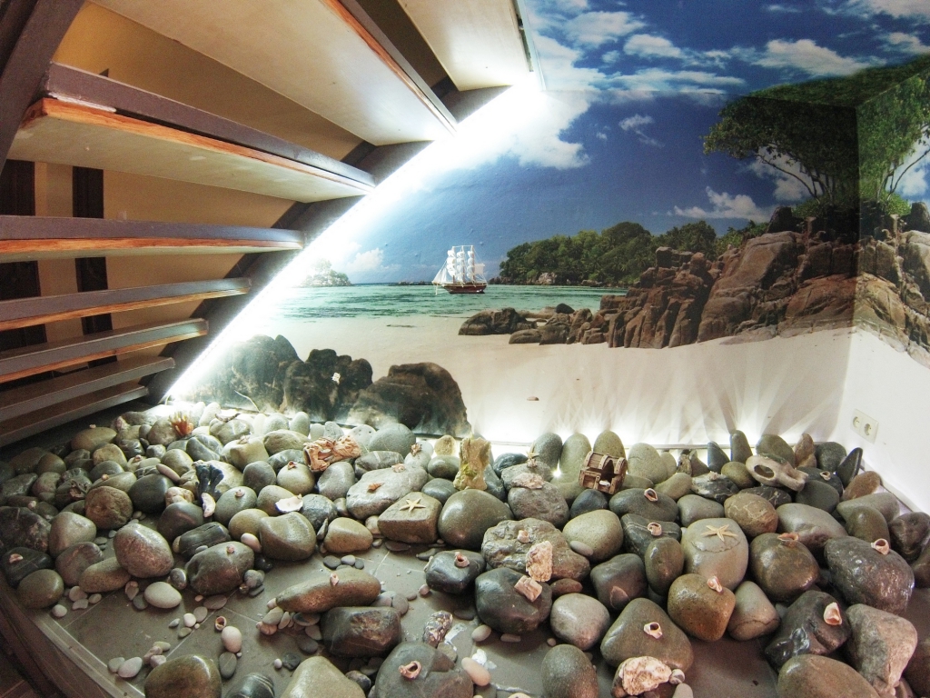 Фото Южный Домик