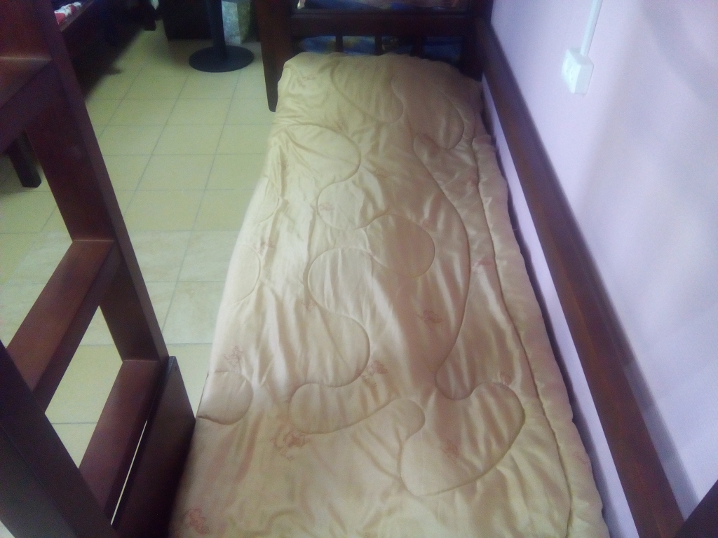 Фото Вежливый лось