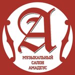 Amadeus (Kirov street, 98), music store