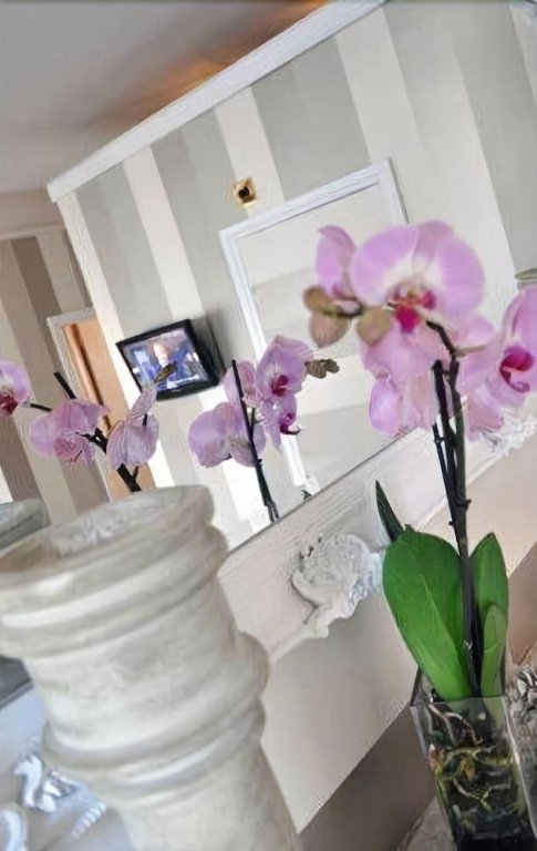 Фото Kings Boutique Hotel