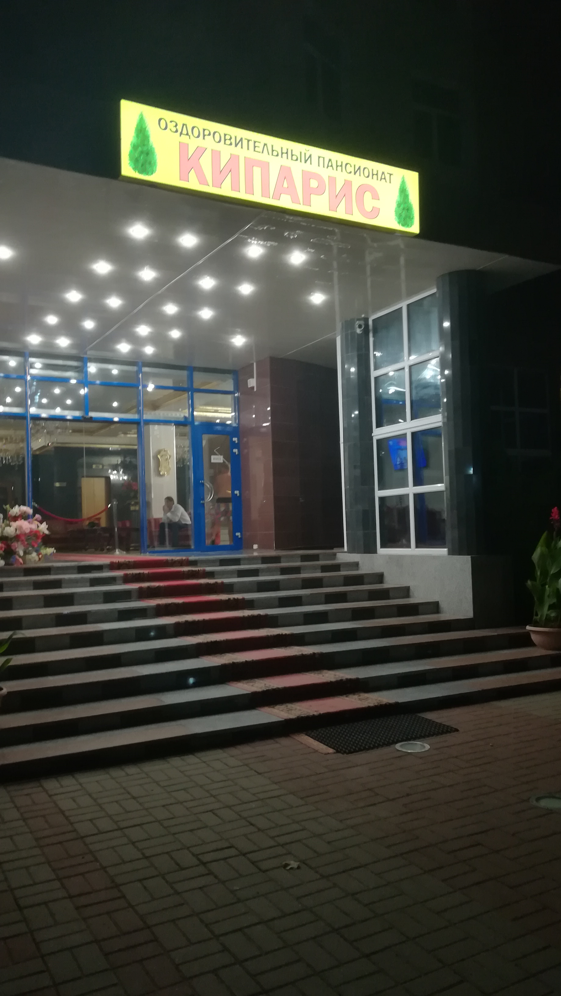 Фото Кипарис