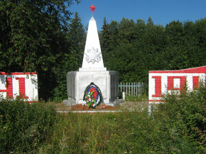 Памятник-обелиск воинам, погибшим в годы Великой Отечественной войны 1941-1945 гг. (Республика Марий Эл, Сернурский район, Дубниковское сельское поселение, деревня Дубники), памятник, мемориал в Республике Марий Эл