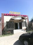 Tulpar (A. Asqarov street, 220), auto parts and auto goods store