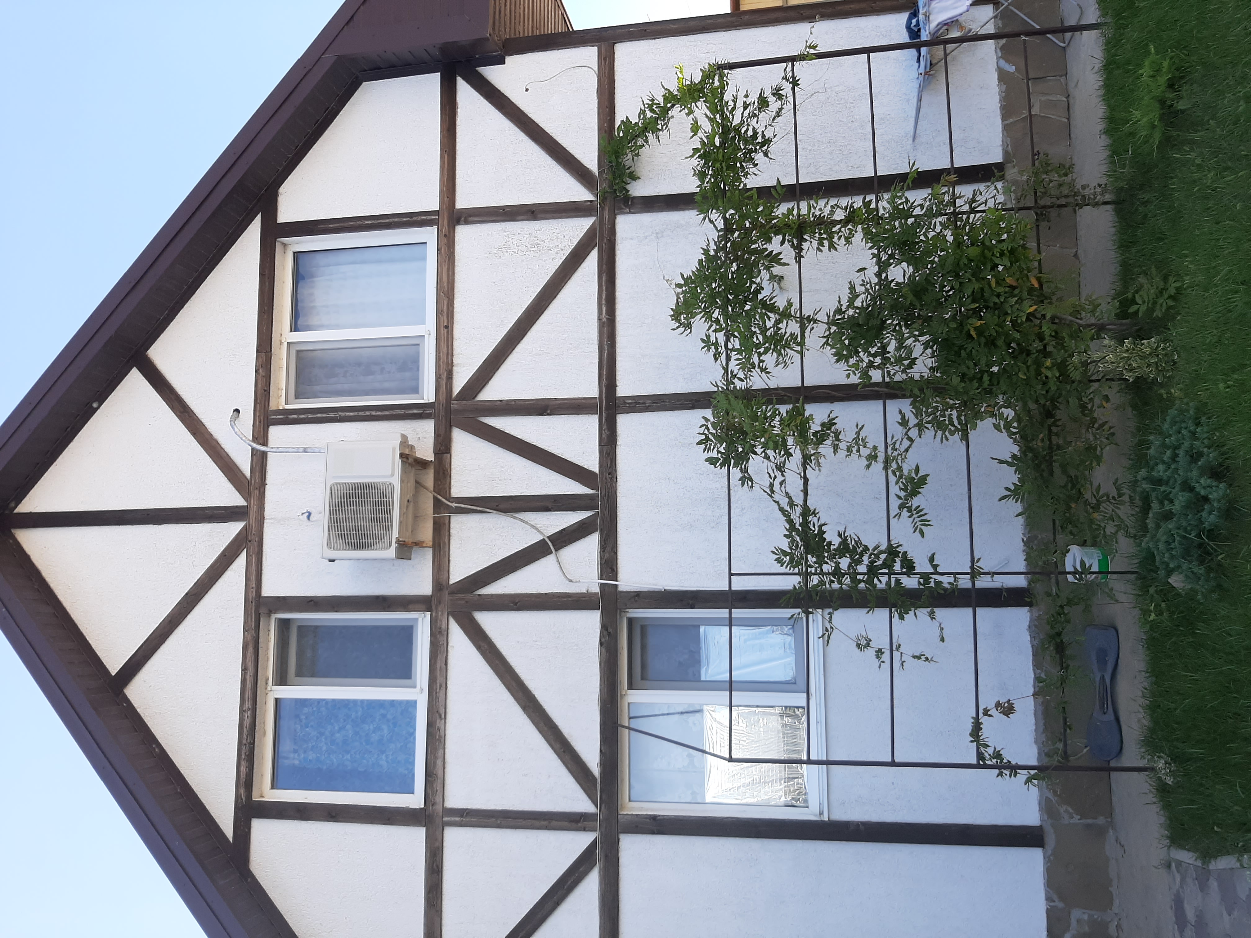 Фото Светлый