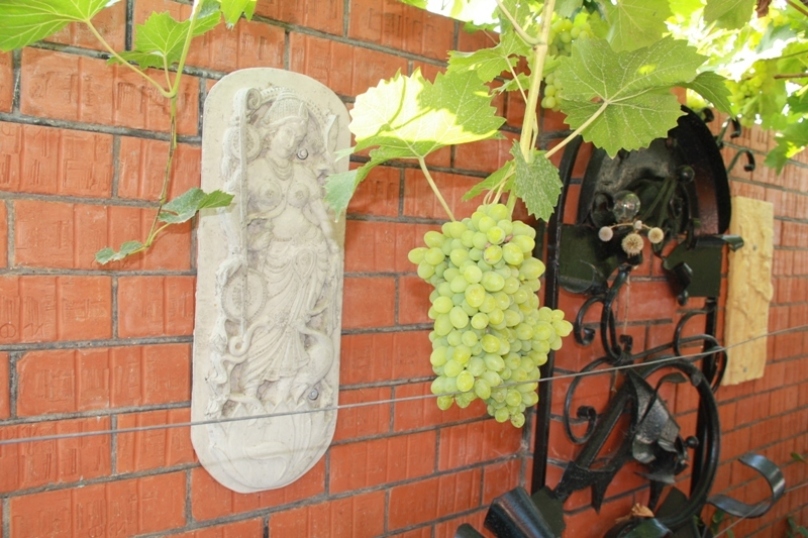 Фото Астери