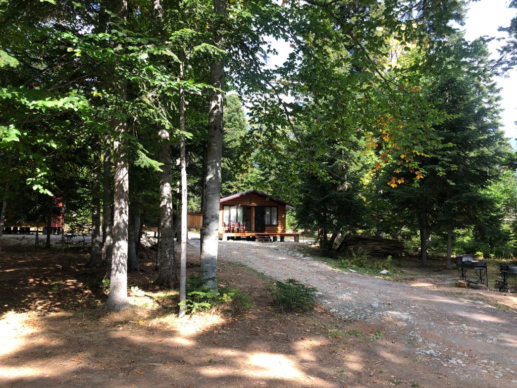 Фото Forest House Resort