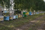 PasecaDeys (Gusarova Street, 33), honey and beekeeping