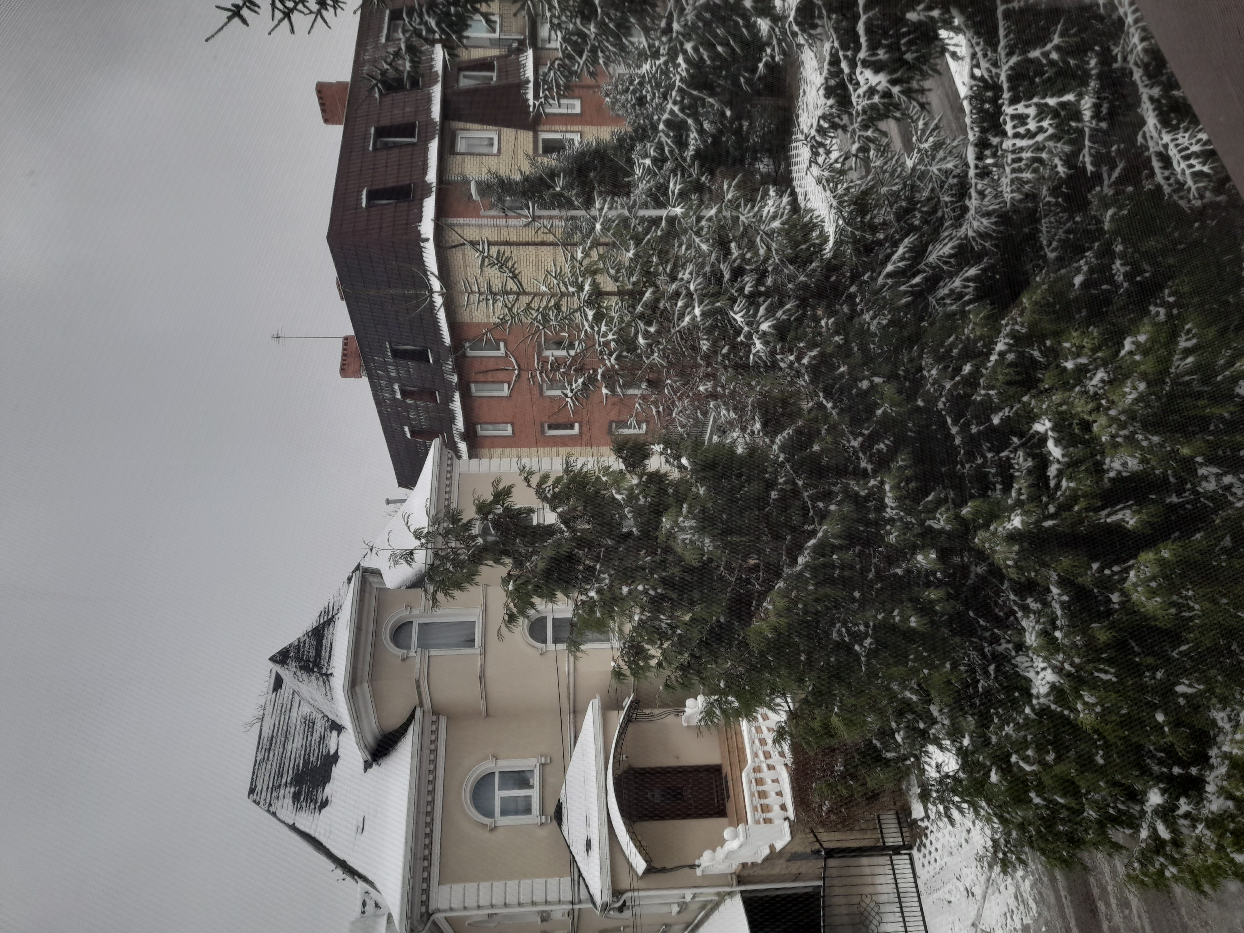 Фото ИнЛайк