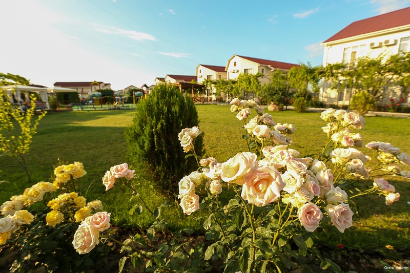 Фото Нарлен