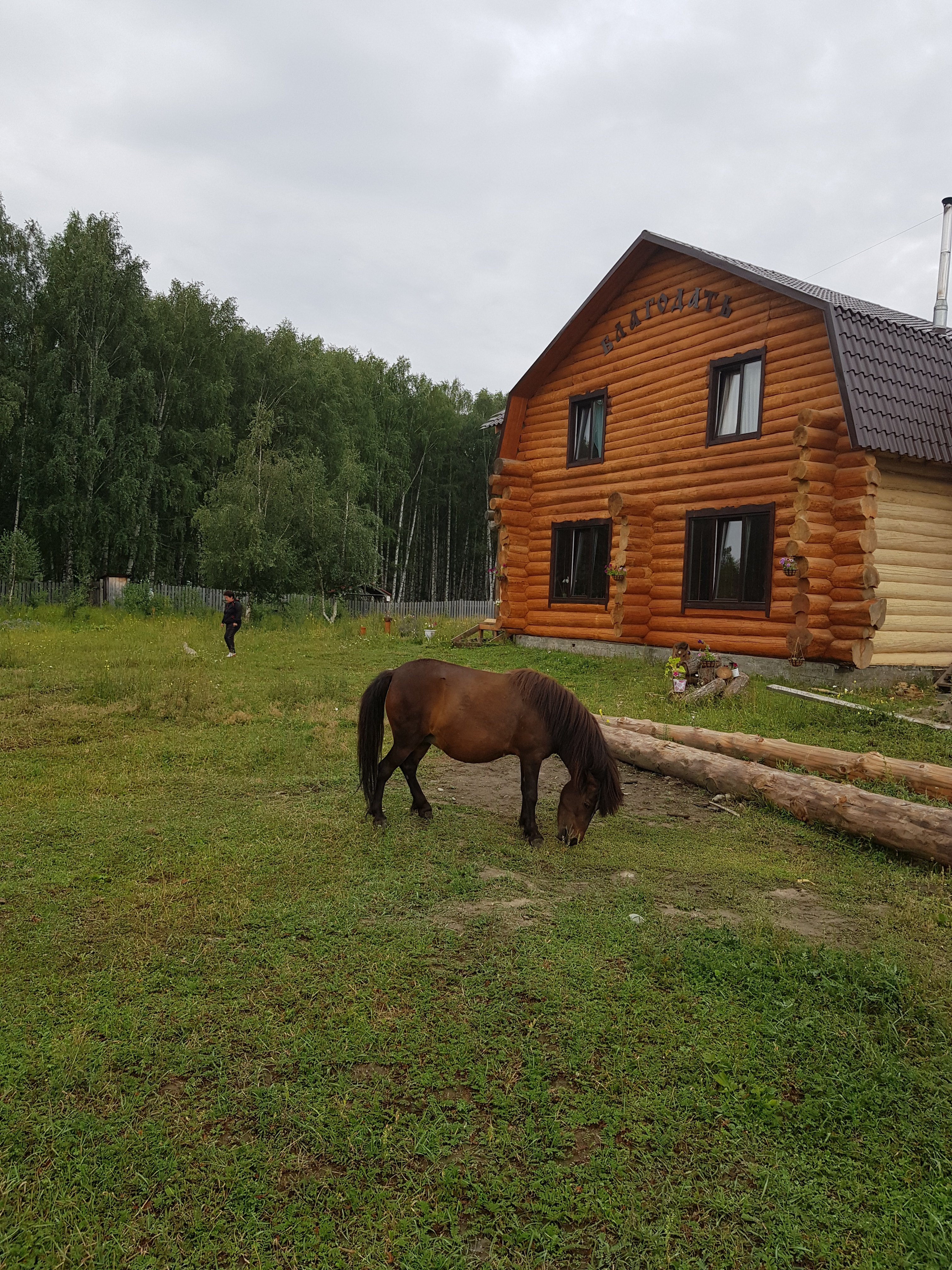 Фото Благодать