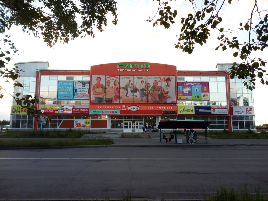 Alışveriş merkezleri Gippo, Severodvinsk, foto