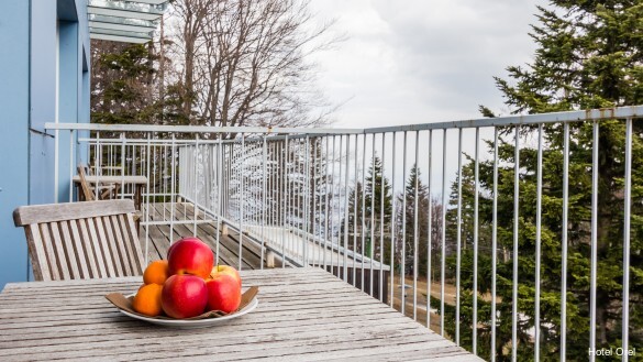 Фото Oтель Orel