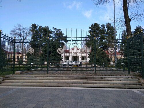 Rus jinsiy aloqa va havaskor kamerada raqs