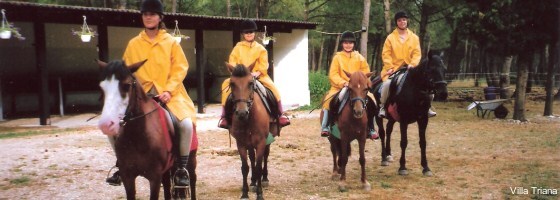 Фото Villa Triana