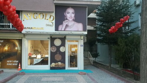 Aygold Dilay Kuyumculuk Fotoğraf 2