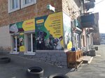 Sandra Groom салон для собак (Liudmyly Protsenko Street, 6), pet shop